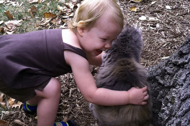 Baby hugging a cat