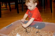 Play With Your Food: Sensory Activities at Mealtime