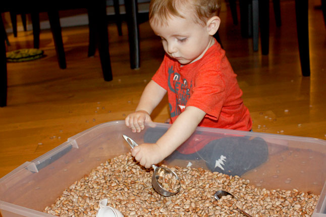 Play With Your Food: Sensory Activities at Mealtime