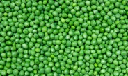 Peas - Designed to Nourish