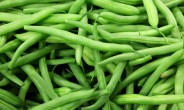 Healthy Benefits Of Green Beans